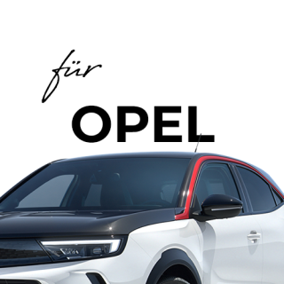 Passgenaue Velourmatten Automatten CARMATS passend für Opel